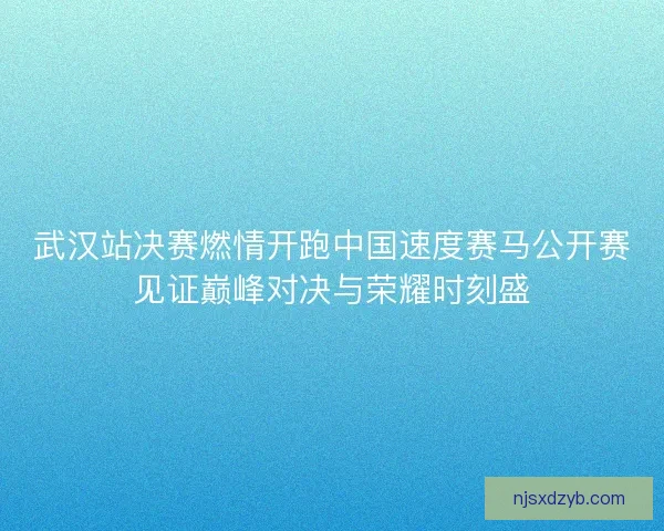 武汉站决赛燃情开跑中国速度赛马公开赛见证巅峰对决与荣耀时刻盛